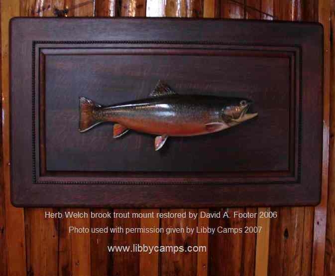 Herb Welch Brook Trout mount restored by David 2006