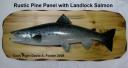 Panel: Rustic Pine with Landlock Salmon Mount