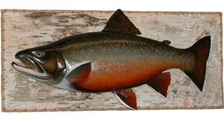 Fish Carving - Labrador Brook Trout